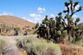 Motorcycle riding in desert Royalty Free Stock Photo