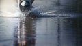 Motorcycle run through flood water after hard rain with water spray from the wheels.