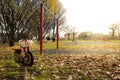 Motorcycle spring rider in playground in autumn