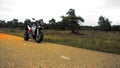 Motorcycle in the wild Royalty Free Stock Photo