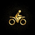 Motorcyclist gold, icon. Vector illustration of golden particle