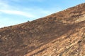 A motorcyclist on a mountain bike climbs a mountain