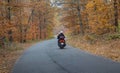 Motorcyclist rides on the road passing through the autumn forest