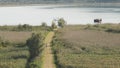 Motorcyclist rides on road on sunny day. Stock. Top view of motorcyclist riding on road through coastal thickets after