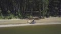 Motorcyclist riding alone in woods. Clip. Aerial view. Motorcycle racing