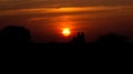 Motorcyclist Silhouette on Indian Highway while Sunset