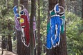 Motorcyclists in the forest Royalty Free Stock Photo