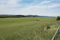 Motorglider just landed on grass Royalty Free Stock Photo