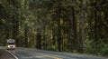 Motorhome Camper Van on the Scenic Woodland Highway