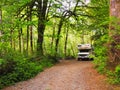 Motorhome Camping in Lush Green Forest