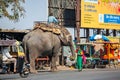 A motorised rickshaw passes an elephant on a busy road Pune