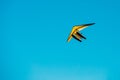 Motorized Hang Glider Flying On Blue Clear Sunny Sky Background Royalty Free Stock Photo