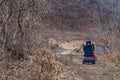 Motorized wheelchair on hiking trail