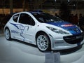 Motorshow Bologna Peugeot 207 rally racing