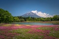 Motosu - May 24, 2019: Mount Fuji seen from the Shiba-Sakura festival, Japan