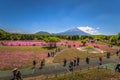 Motosu - May 24, 2019: Mount Fuji seen from the Shiba-Sakura festival, Japan