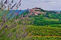 Motovun, Istria, Croatia, Europe