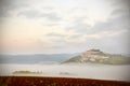 Motovun medieval village on a hill above vineyards in Istria, Croatia