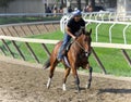 Bill Mott Workouts from Saratoga