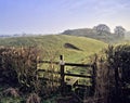 Motte and bailey castle Royalty Free Stock Photo