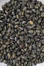 close-up of mottled black peas with smooth surfaces and light seams Royalty Free Stock Photo