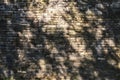 Mottled blue brick wall texture background of tree shadow.