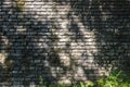 Mottled blue brick wall texture background of tree shadow.