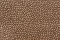 Mottled brown textile texture. Can be used as background. Royalty Free Stock Photo