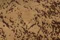 Mottled textile background in beige-brown hue. Royalty Free Stock Photo