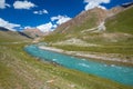 Motton blue ruver in mountains of Tien Shan Royalty Free Stock Photo