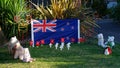 Motueka, New Zealand, 24/4/2020 An Anzac Australia New Zealand Army Corp Day Commemoration outside a person`s house