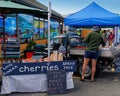 Motueka Sunday market market stall selling fresh local cherries from Riwaka