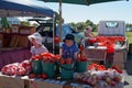 Tomatoes for sale by the bucket load. Motueka market, New Zealand