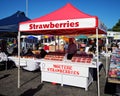 Motueka Sunday market market stall selling fresh local strawberries Royalty Free Stock Photo