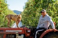 Apple picking seasonal worker and his dog in Motueka, New Zealand