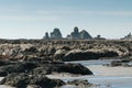 Motukiekie beach on west coast south Island New Zealand Royalty Free Stock Photo