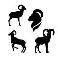 Moufflon vector silhouettes Royalty Free Stock Photo