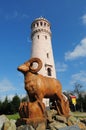 Tower on Great Owl Wielka Sowa Royalty Free Stock Photo