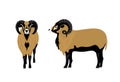 Mouflon sheep vector illustration Royalty Free Stock Photo