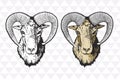 Mouflon vector handdrawn illustration Royalty Free Stock Photo