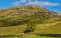 Moughton Fell near to Helwith Bridge in the Yorkshire Dales Royalty Free Stock Photo