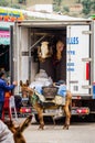 Moulay Idriss, Morocco - April 10, 2015. Donkey waiting for the load