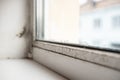 Mould and rot on a white plastic window frame Royalty Free Stock Photo