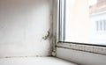 Mould and rot on a window frame and wall. Moisture indoors and the appearance of mold Royalty Free Stock Photo