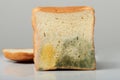 Mould on sliced bread Royalty Free Stock Photo