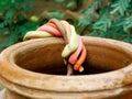 moulded soft soil clay entering into soil water pot around green natural garden Royalty Free Stock Photo