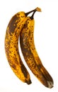 Mouldy Bananas
