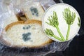 Mouldy bread and close-up view of Penicillium fungi, the causative agent of bread mould