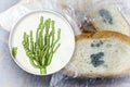 Mouldy bread and close-up view of Penicillium fungi, the causative agent of bread mould