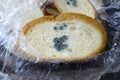 Mouldy bread, Penicillium mold Royalty Free Stock Photo